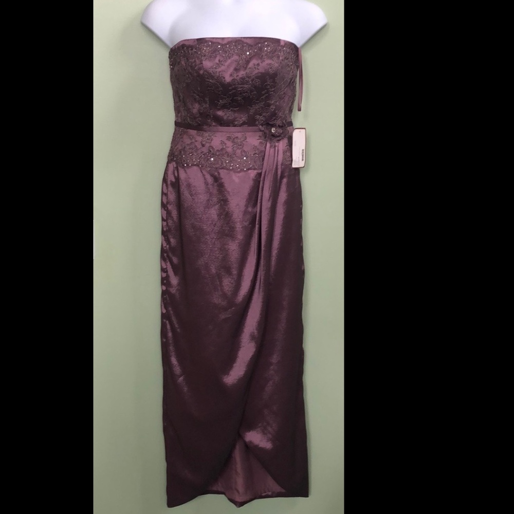 Landa Sz 4 Plum Frost Embr Lace Formal Dress